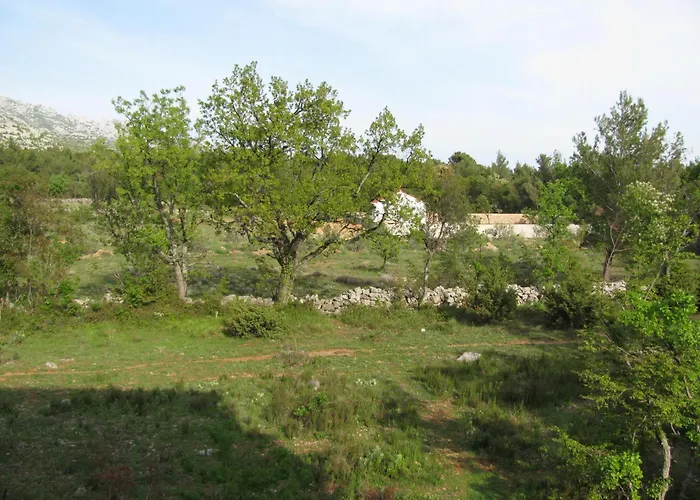 Paklina Apartments
