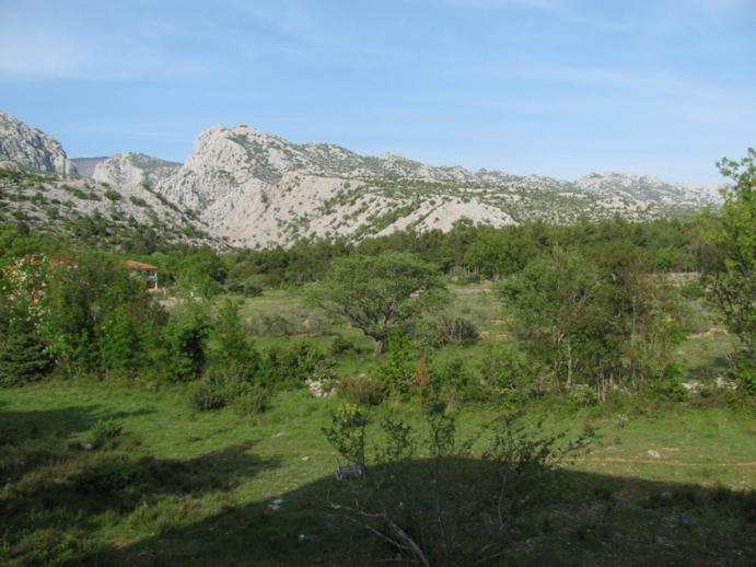 Paklina * Starigrad Paklenica