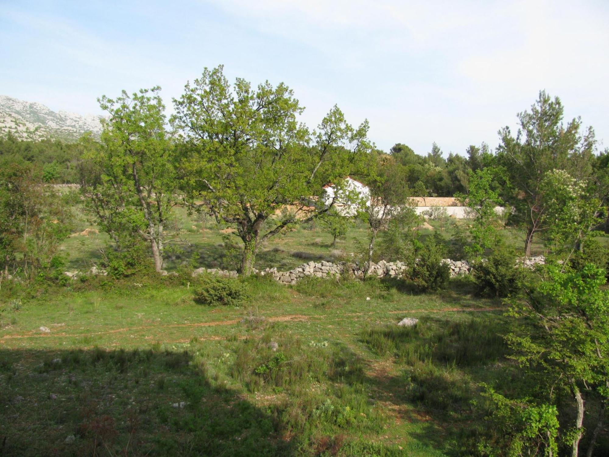 Paklina